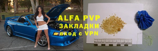 гашик Елизово