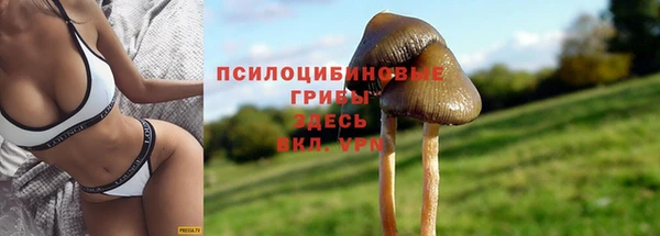 гашиш Елабуга