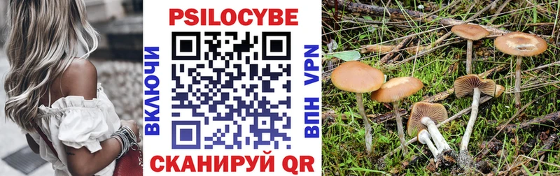 Купить закладки Сосенский Галлюциногенные грибы Cubensis